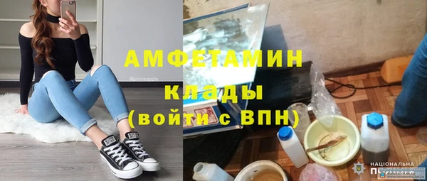 шишки Арсеньев
