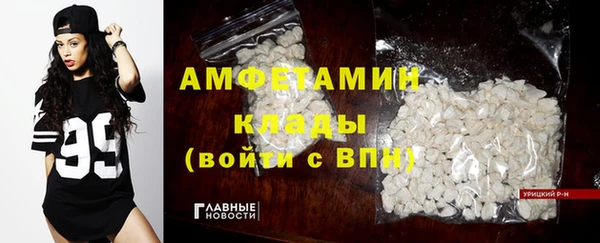 шишки Арсеньев