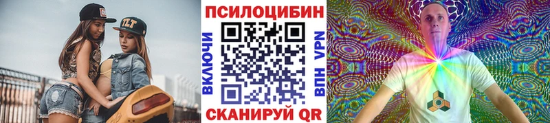 площадка какой сайт  Новая Ладога  Псилоцибиновые грибы Psilocybine cubensis 